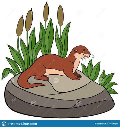 Cartoon Animals Little Cute Otter Stands On The Stone Stock Vector