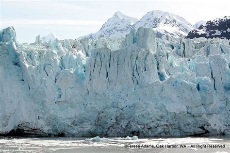 Margerie Glacier Glacier Bay Alaska Alaska Glaciers Glacier Bay