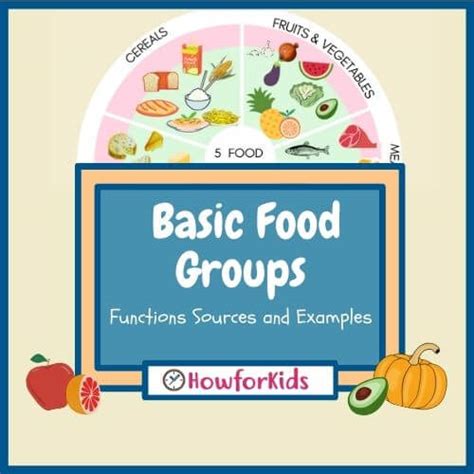What Are The Five Basic Food Groups Howforkids