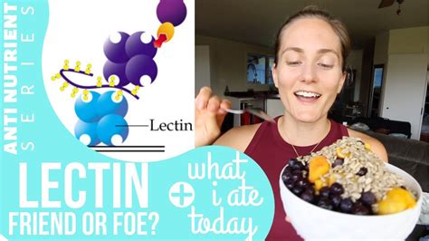 Lectins Respect The Dangers Get The Benefits Antinutrient Series