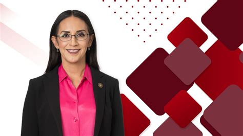 Dip Laura Imelda Pérez Segura Lxv Legislatura