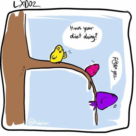 Картинка как там твоя диета Как Твоя Диета Картинки — Похудение Диета Правильное Питание Как Твоя Диета Картинки — Похудение Диета Правильное Питание Картинка как там твоя диета