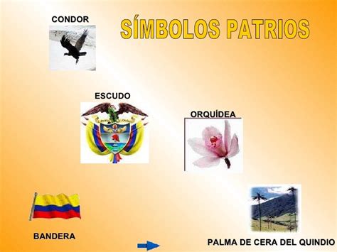 Simbolos Patrios De Colombia Imagenes Imagui