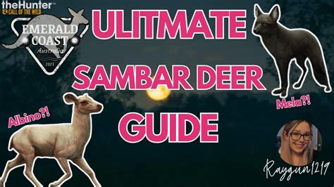 Ultimate Sambar Deer Guide Call Of The Wild YouTube