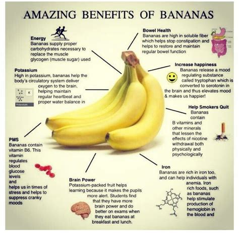 Bananas Banana Health Benefits Banana Benefits Healing Food