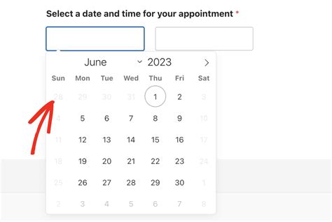 How To Limit Options For The Date Time Field