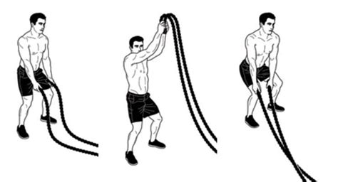 A Beginners Guide To Battling Ropes Battle Ropes Battle Rope