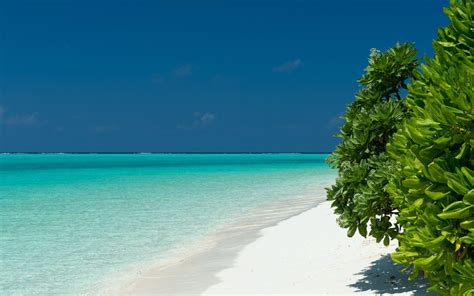 Turquoise Water Sand Shore Sea Maldives Hd Wallpaper Download