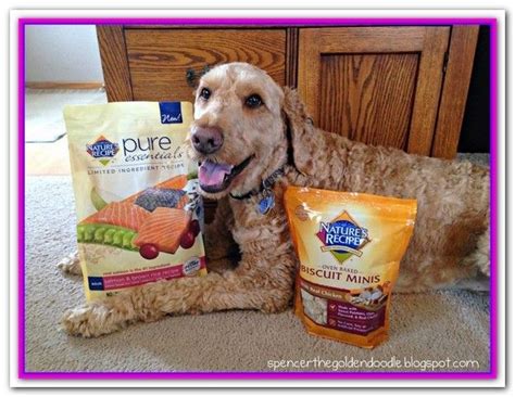 Check out reviews of dog food for golden retrievers and dog food for poodles. Best Dry Dog Food For Goldendoodles - Taste of the Wild ...