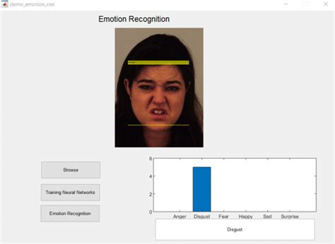 facial emotion recognition using deep learning matlab