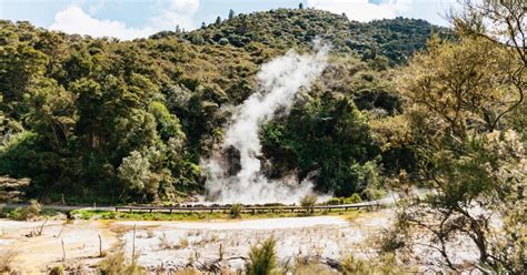 Rotorua Waimangu Volcanic Valley Entry Ticket Getyourguide