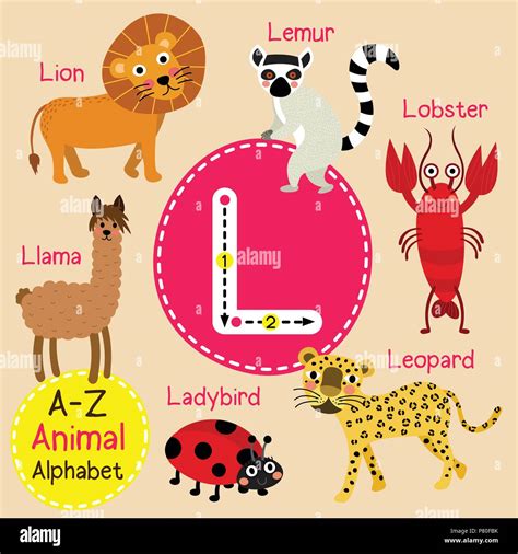 Alphabet L High Resolution Stock Photography and Images - Alamy