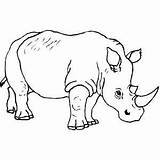 Rhino Walking Coloring Printable Animals Print sketch template