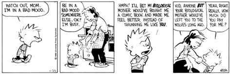 Best Calvins Mom Strips In Calvin And Hobbes Ranked