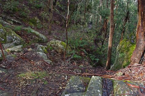 The Bridge On Coxs Road Mount York 1815 Remains Of The B Flickr