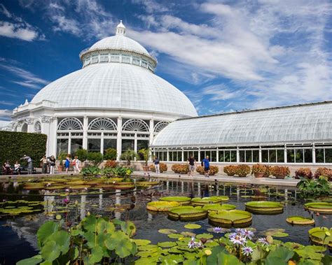 Home décor, gardening products, plants, books, stationery, skincare products, corporate gifts and more fill this gardening mecca. New York Botanic Gardens | GardensOnline