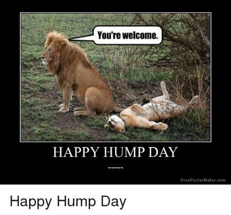 Youre Welcome Happy Hump Day Freepostermakercom Funny Meme On Meme