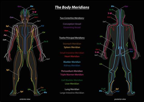 [DIAGRAM] Chinese Meridians Diagram - MYDIAGRAM.ONLINE