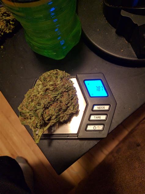 What is the biggest nug you've ever weighed? : trees