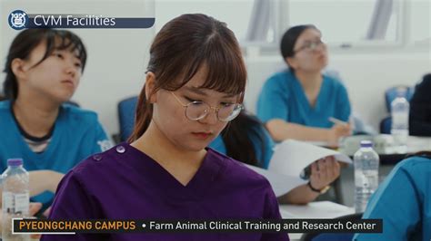 서울대학교 수의과대학 College Of Veterinary Medicine Seoul National University Youtube
