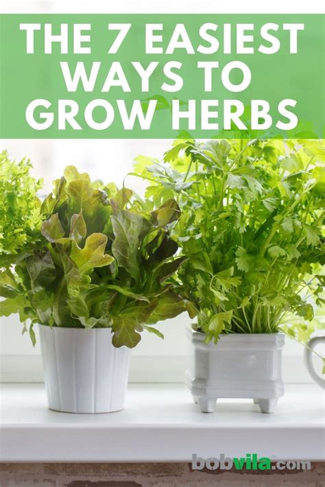 The 7 Easiest Ways To Grow Herbs Indoor Herb Garden Growing Herbs At