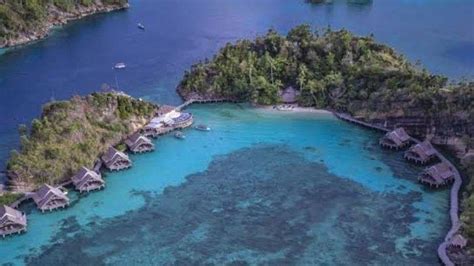 3 Rekomendasi Hotel Di Raja Ampat Famangkor Homestay Raja Ampat Diva