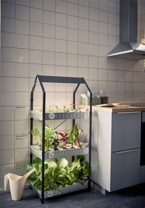 Ya Está Aquí Indoor Gardening La Colección De Ikea Para Que Presumas
