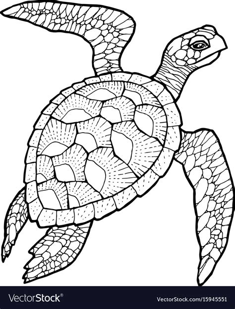 Sea Turtle Stylized Drawing Royalty Free Vector Image