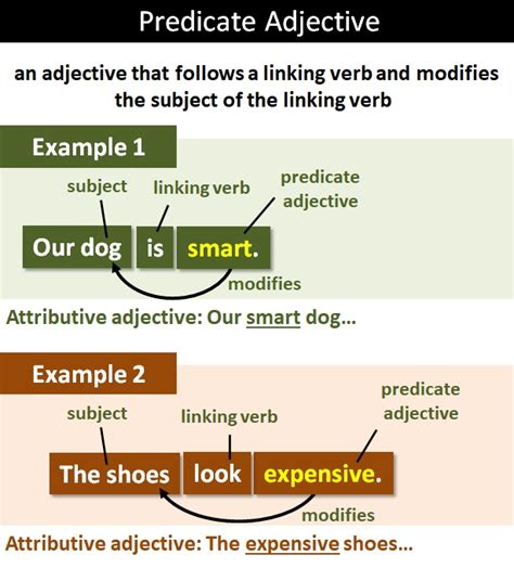 What Are Predicate Adjectives English Grammar Solution