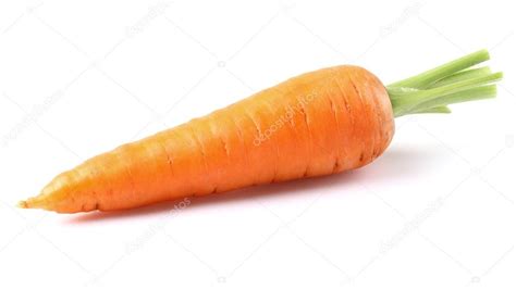 One Young Carrot Stock Photo By ©dionisvera 26536551