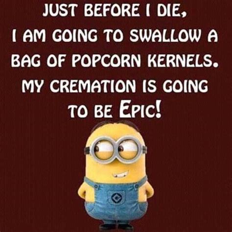 Top Funny Minions Quotes And Sayings DailyFunnyQuote