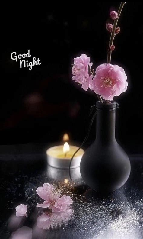 Pin By Vlasta Dud Kov On Pekn Ve Er Dobr Oc Good Night Flowers