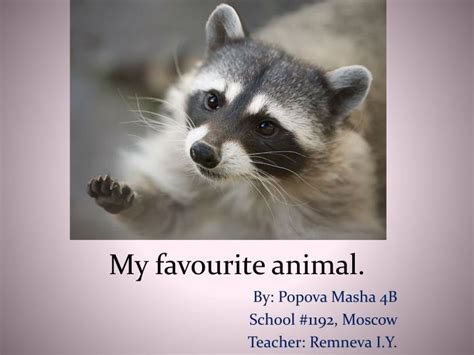 PPT - My favourite animal. PowerPoint Presentation, free download - ID ...