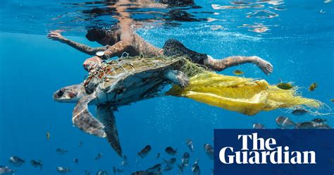 Ciwem Environmental Photographer Of The Year 2018 Winners In Pictures Environment The Guardian