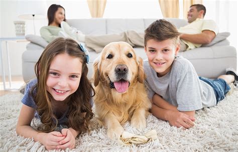 Why You Should Get A Pet For Your Children Coastal Kids Pediatrics