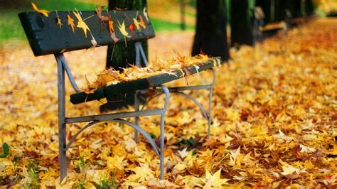 1920x1080 1920x1080 Park Autumn Bench Leaves Coolwallpapersme