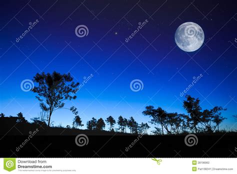 Night Landscape With The Moon Trees Silhouette Stars Stock Photo