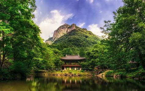 Park Trees Mountain Lake Arbor China Wallpaper Travel And World