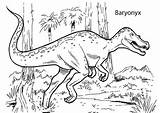 Baryonyx Megalosaurus Dinosaurier Langhals 4kids sketch template