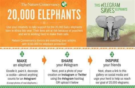 The Nature Conservancy Elegram Project Save The Elephants Nature