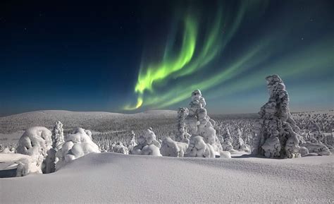 Aurora Borealis Over Finnish Lapland Aurora Borealis Trees Snow