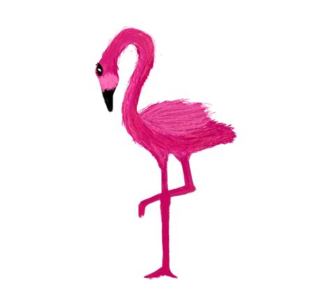 Pink Flamingo Bird 29894425 Png