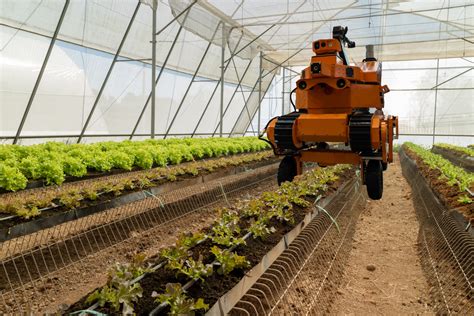 Agricultural Robots Long Term Technological Needs