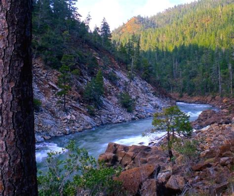 Rogue River Siskiyou National Forest Planning
