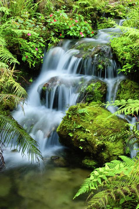 Rainbow Springs Photograph By Rich Leighton