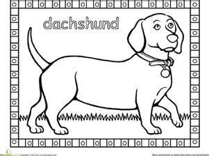 Some of the coloring page names are dachshund coloring at, how to draw a dachshund step by step pets animals, dog cake templates dachshund outline coloring, clifford the big red dog coloring wecoloring. Dachshund | Worksheet | Education.com