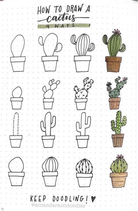 How To Draw A Cactus Bullet Journal Doodles Easy Drawings Plant Doodle