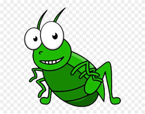 Cricket Bug Clipart Cricket