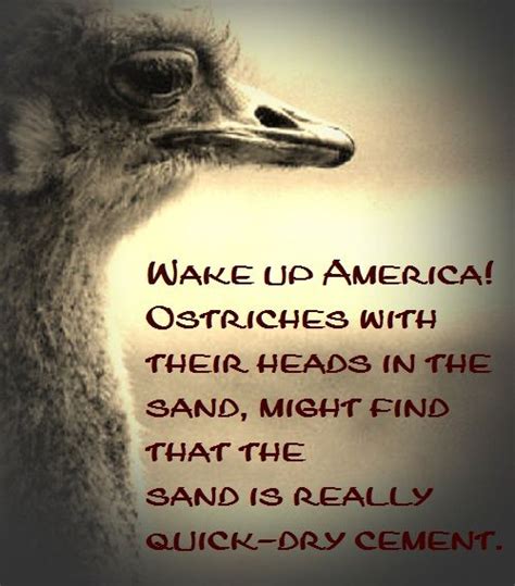 Perspective The Ostrich Head In The Sand The Ostrich Perspective