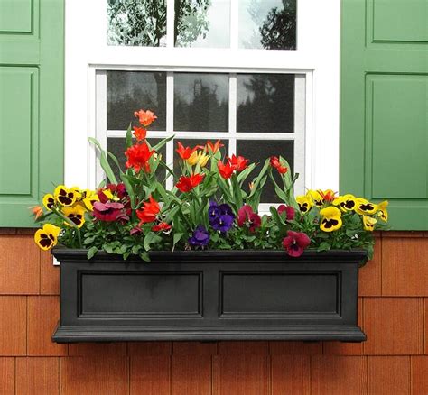 Gorgeous Window Flower Boxes With Pictures